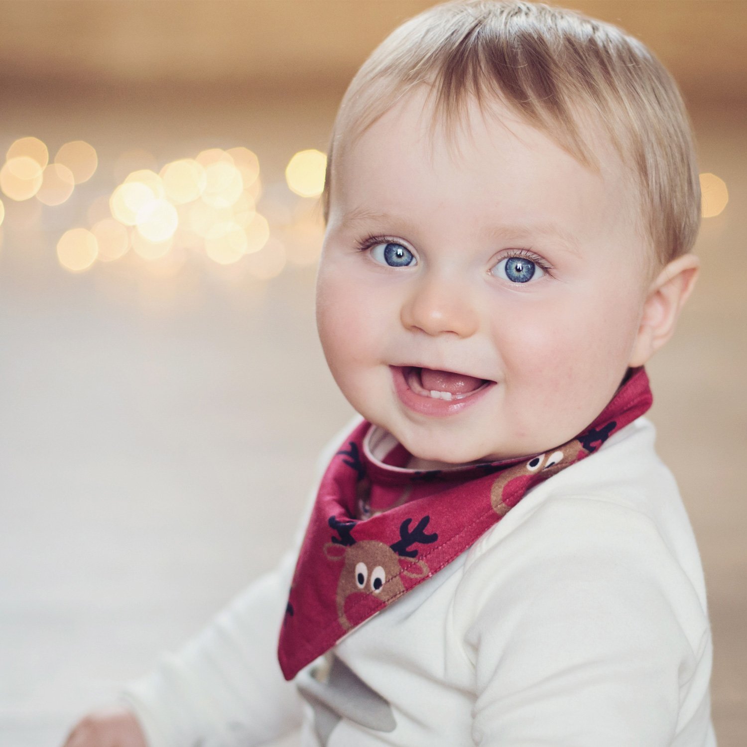 Blade & Rose Rudolph Bandana Bib